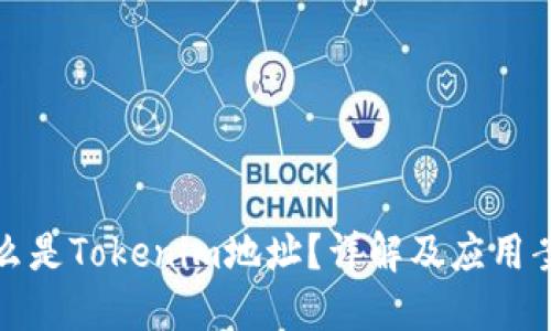 什么是Tokenim地址？详解及应用案例