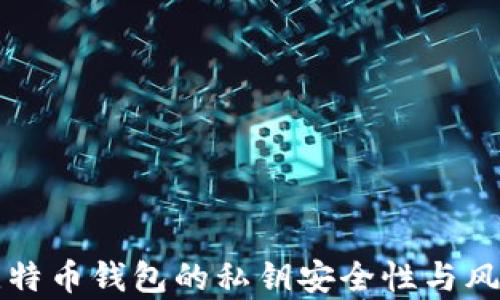 
暗网比特币钱包的私钥安全性与风险解析