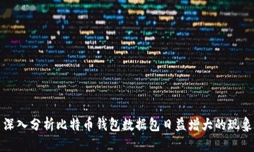 深入分析比特币钱包数据包日益增大的现象