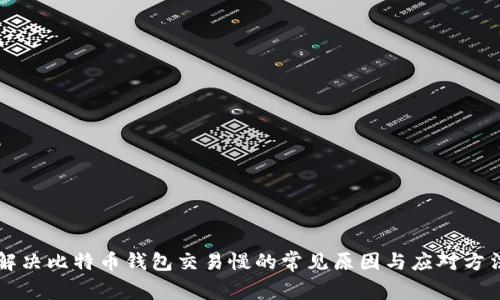 解决比特币钱包交易慢的常见原因与应对方法