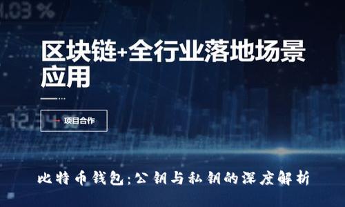 比特币钱包：公钥与私钥的深度解析