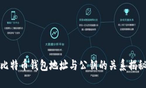 比特币钱包地址与公钥的关系揭秘