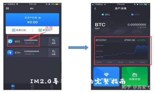 IM2.0导入MIST的完整指南
